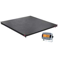 DEFENDER 3000 Floor Scale, 2500 lbs. Capacity, 48" W x 48" L Equipex