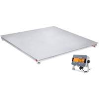 DEFENDER 3000 Floor Scale, 2500 lbs. Capacity, 48" W x 48" L Equipex