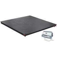 DEFENDER 5000 Floor Scale, 2500 lbs. Capacity, 48" W x 48" L Equipex