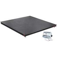 DEFENDER 5000 Floor Scale, 5000 lbs. Capacity, 48" W x 48" L Equipex