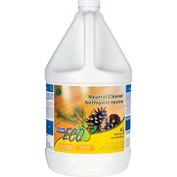 Pine Oil Neutral Cleaners, 4 L, Jug Equipex