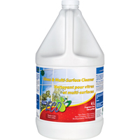 Glass & Multi-Surface Cleaners, 4 L, Jug Equipex