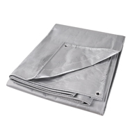 Tarp, Super Heavy-Duty, Silver, 10' x 8' x 12 mils Equipex