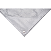 Tarp, Super Heavy-Duty, Silver, 10' x 8' x 12 mils Equipex