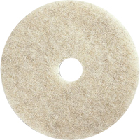 Tampons pour l'entretien des planchers, 21", Brunissage, Brun Equipex