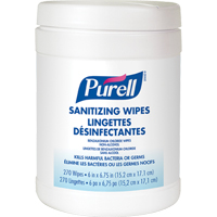 Hand Sanitizing Wipes, Canister Equipex