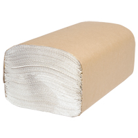 Essuie-mains Everest Pro un pli, 1 pli, 10-1/4" lo x 9-1/4" la, 250 /pqt Equipex