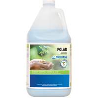 Polar Bathroom Cleaner, 4 L, Jug Equipex