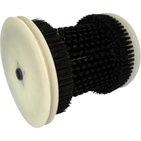 Refill Brush Equipex