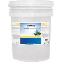Dynamite Odourless Stripper & Degreaser, 20 L, Pail Equipex