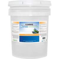 Clearinse Foam Cleaner and Degreaser, 20 L, Pail Equipex