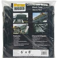 Tarp, Light Industrial Duty, Black, 6' x 8' x 8 mils Equipex