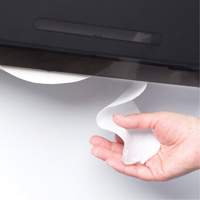 Distributeur de papier hygi&eacute;nique avec unit&eacute; combin&eacute;e &agrave; rouleau JRT avec mandrin, Multiple Capacit&eacute; du rouleau Equipex