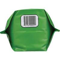 Nettoyant pour les mains biod&eacute;gradable, Poudre, 4,5 lb, Pochette, Sans parfum Equipex