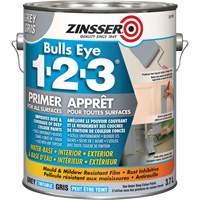 Water-Based Paints & Coatings
