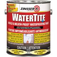 Watertite&reg; Mold & Mildew-Proof Waterproofing Paint, White, Eggshell, 3.78 L, Gallon Equipex