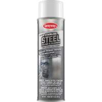 Stainless Steel Polish & Cleaner, 20 oz., Aerosol Can Equipex