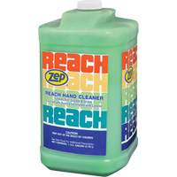Reach Extra Heavy-Duty Hand Cleaner, Pumice, 3.78 L, Jug, Scented Equipex