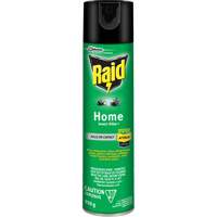 Insecticide pour insectes domestiques Raid, 350 g, &agrave; base de solvant Equipex