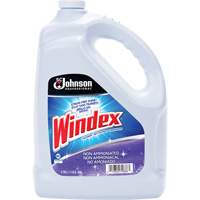 Nettoyant multi-surface non ammoniac&eacute; de Windex, 3,8 L, Cruche Equipex