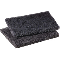 Tampon de polissage pour plaque de cuisson Scotch-Brite, 4" lo x 5" la Equipex