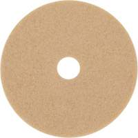 Trizact Diamond TZ Abrasive Strip, 20", Burnishing, Beige Equipex