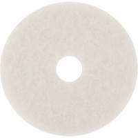 Floor Pad, 10", Buffing/Cleaning/Polish, White Equipex