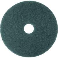 Hi-Performance Pad, 11", Cleaning/Scrubbing, Blue Equipex