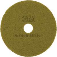 Tampon pour planchers TopLine Speed, 17", Brunissage, Brun Equipex