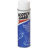 Carpet Spot Remover and Upholstery Cleaner, 17 oz., Aerosol Can Equipex