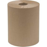 Rouleau d'essuie-tout Everest Pro, 1 pli, Standard, 600' lo Equipex