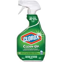 Nettoyant d&eacute;sinfectant Clean-Up, 946 ml, Bouteille &agrave; g&acirc;chette Equipex
