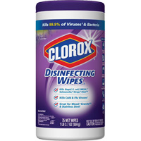 Lingettes d&eacute;sinfectantes, 75 lingettes Equipex