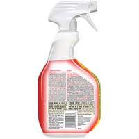 Disinfecting Bio Stain & Odour Remover, 946 ml, Trigger Bottle Equipex