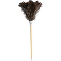 Plumeau de qualit&eacute; sup&eacute;rieure, Plume d'autruche Equipex