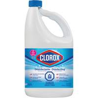 Disinfecting Bleach, 1.27 L, Jug Equipex