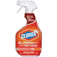 All-Purpose Disinfecting Cleaner Spray, 946 ml, Trigger Bottle Equipex