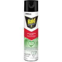 Raid&reg; Essentials Ant & Spider Killer, 350 g, Aerosol Can Equipex