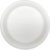 Molded Fiber Disposable Plates Equipex