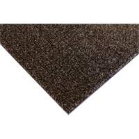Tapis dint&eacute;rieur Palliser, Essuie-pieds/grattoir, 3-1/2' x 6' x 5/16", Anglis Equipex