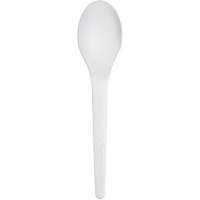 Plantware Renewable and Compostable Spoon Equipex