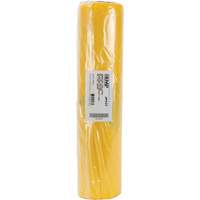 Hazardous Waste Liners, Asbestos, 40" L x 26" W, 3 mils Equipex
