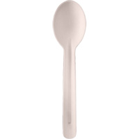 Bagasse Compostable Spoons Equipex
