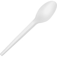 CPLA Compostable Spoons Equipex