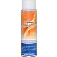 Air Freshener, Citrus, Aerosol Can Equipex