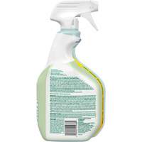 CloroxPro Clorox EcoClean Disinfecting Cleaner, 946 ml, Trigger Bottle Equipex
