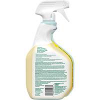 CloroxPro Clorox EcoClean All-Purpose Cleaner, 946 ml, Trigger Bottle Equipex