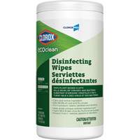 Lingettes d&eacute;sinfectantes EcoClean, 75 lingettes Equipex