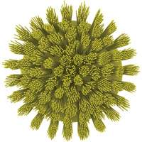 HyDrive Round Drill Brush, Extra Stiff Bristles, 3-1/10" Long, Yellow Equipex