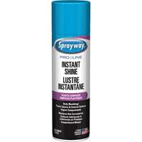 Pro Line Instant Shine for Plastic Surfaces, 11 oz., Aerosol Can Equipex